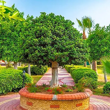 Mediterranean Breeze 4* Antalya